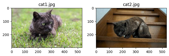 <Figure size 800x600 with 2 Axes>