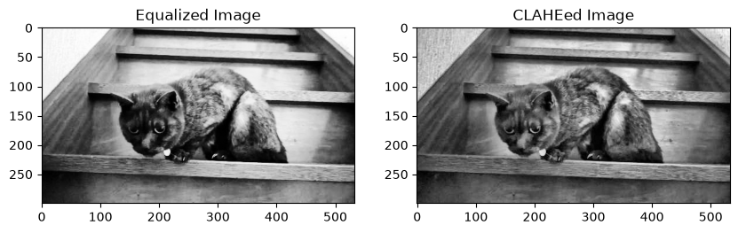 <Figure size 1000x300 with 2 Axes>