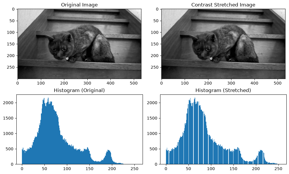 <Figure size 1000x600 with 4 Axes>