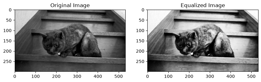 <Figure size 1000x300 with 2 Axes>