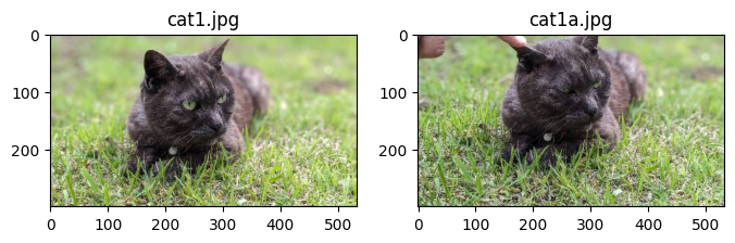 <Figure size 800x600 with 2 Axes>